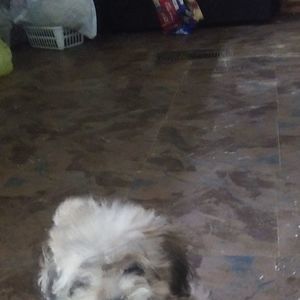 Meet your Posher, Glenna